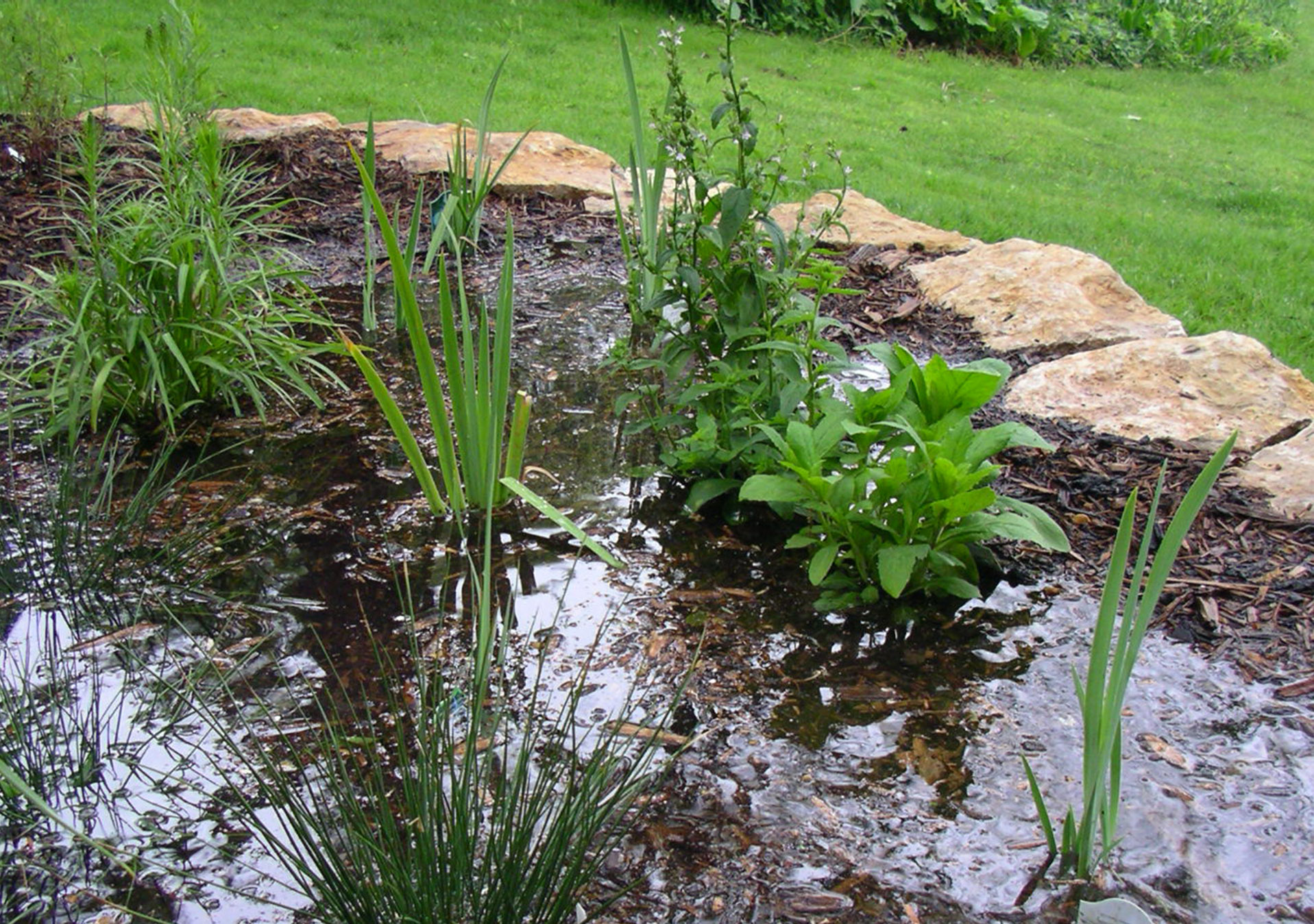 Deep Roots 2021 Spring Webinar Series - Deep Roots