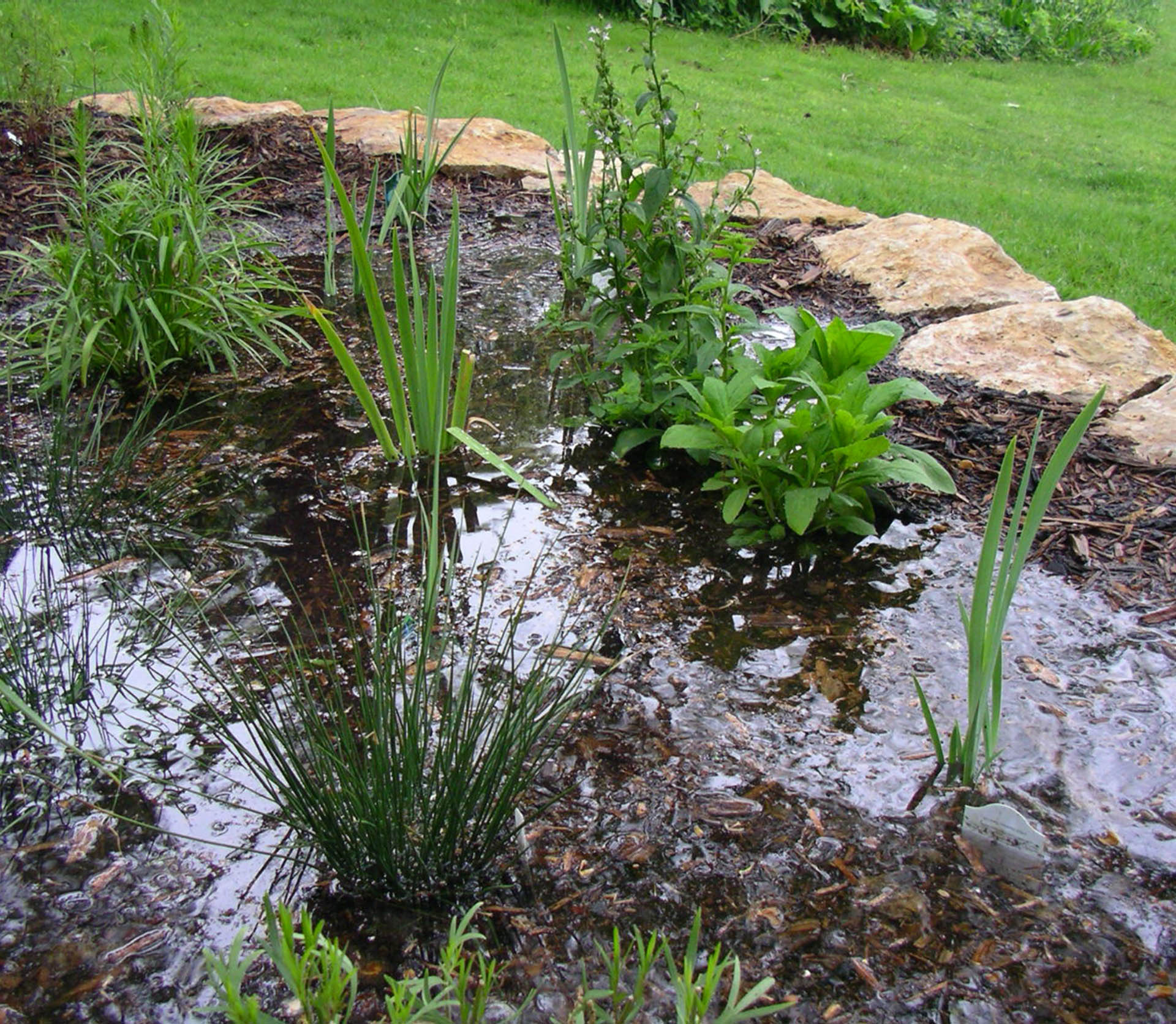 Deep Roots 2021 Spring Webinar Series - Deep Roots