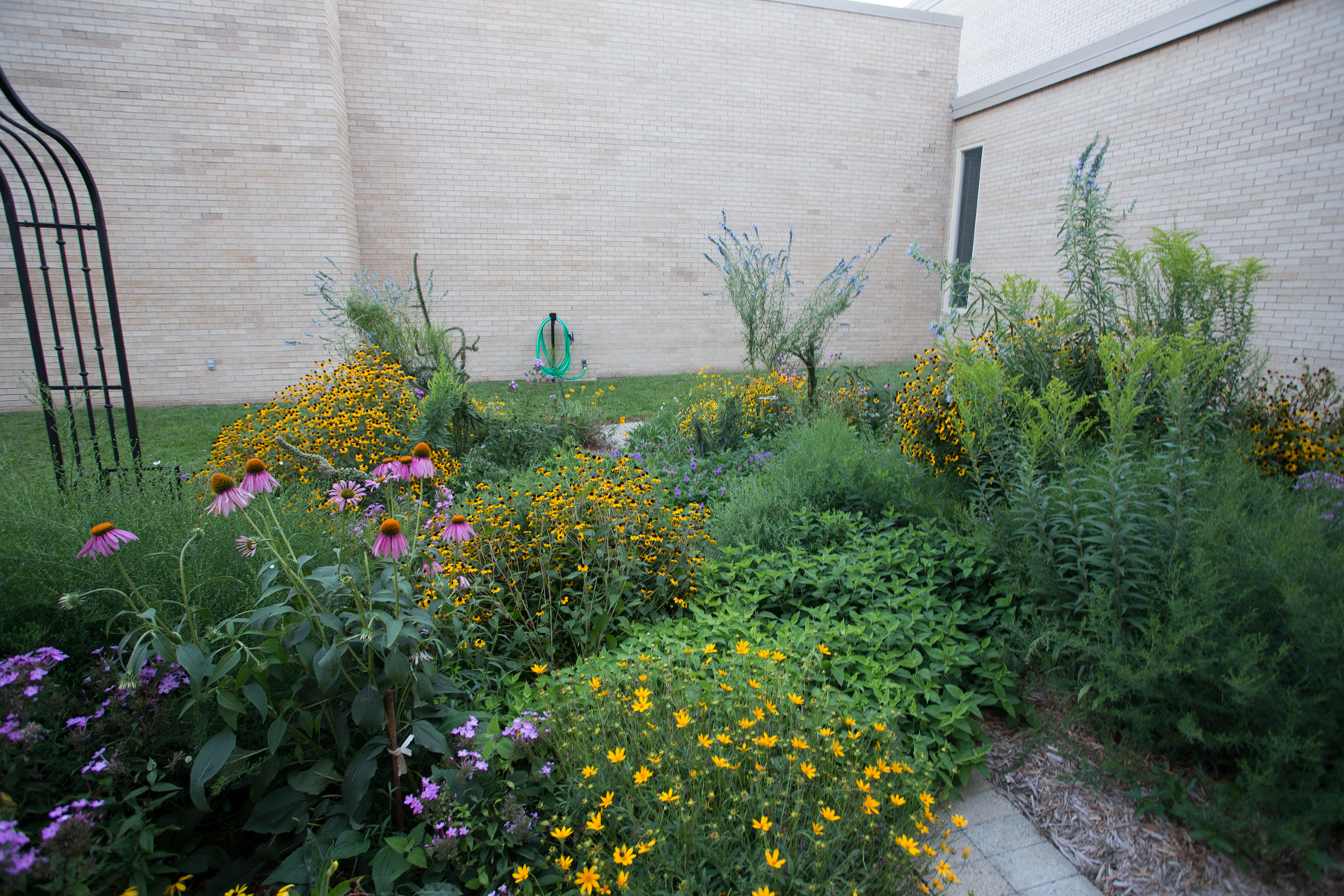 Native Plant Garden Design