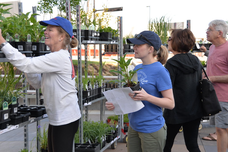 deep roots native plant sale