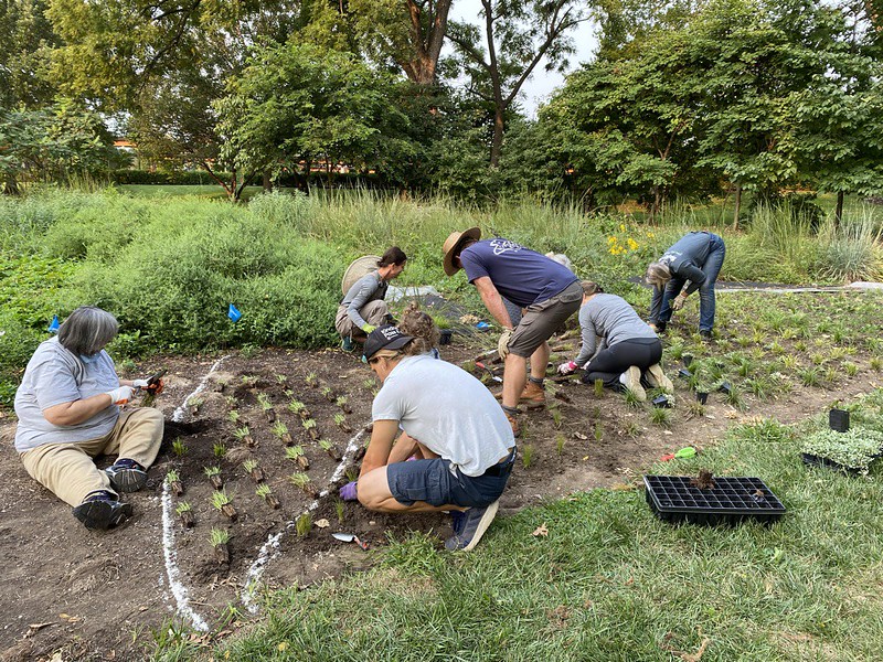 Learn About Native Plants by Volunteering with Deep Roots