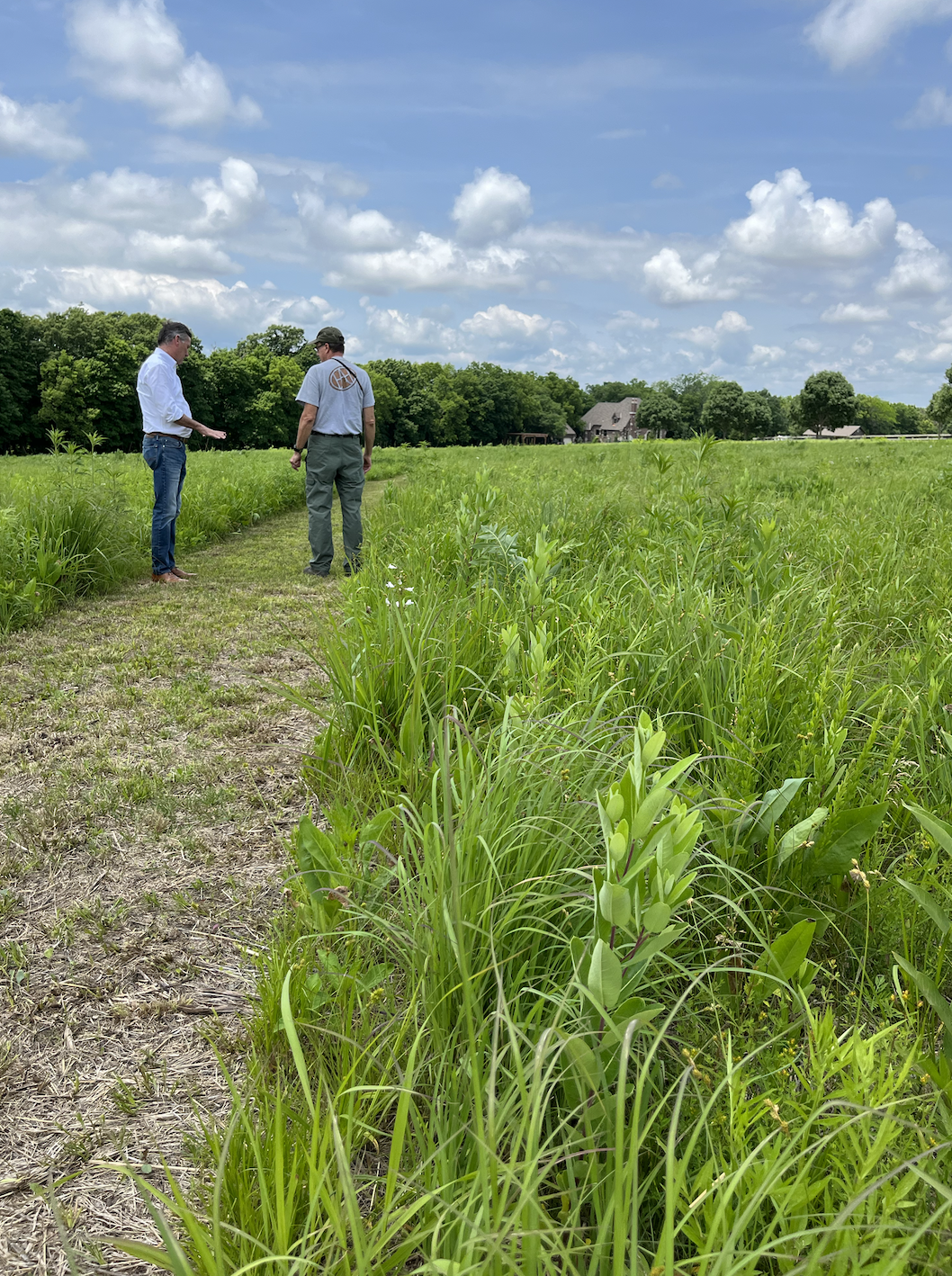 Can Destroying Your Lawn Be a Good Thing?