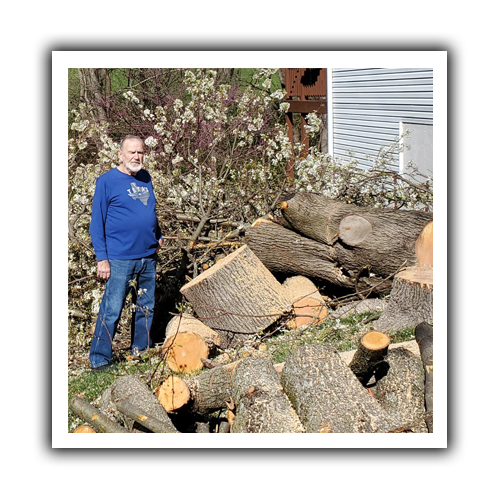 Callery Pear Events Deep Roots