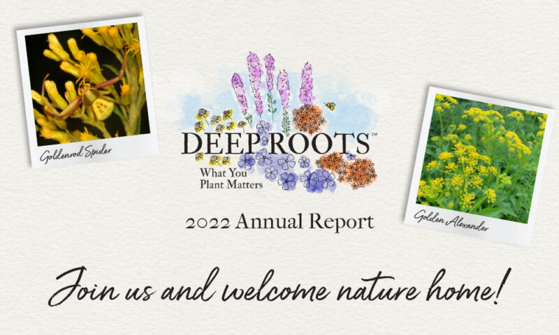 Deep Roots Annual Report 2022 Coming Soon - Deep Roots
