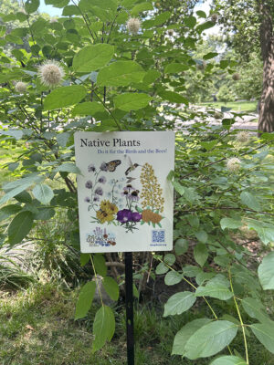 Deep Roots Native Garden Signs