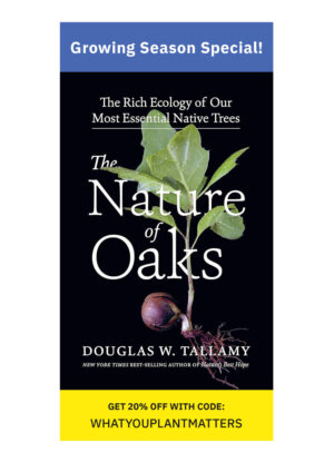 Nature of Oaks by Doug Tallamy