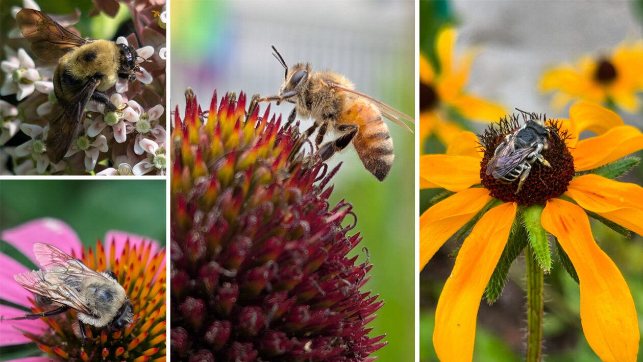 A Look Back on the Growing Season - Deep Roots