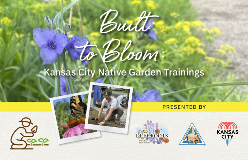 National Planting Program Built to Bloom: KC Native Garden Training - Deep Roots
