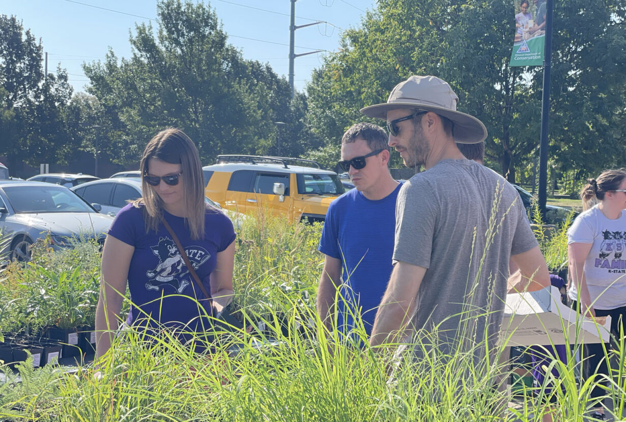 April Native Plant Sale - Deep Roots
